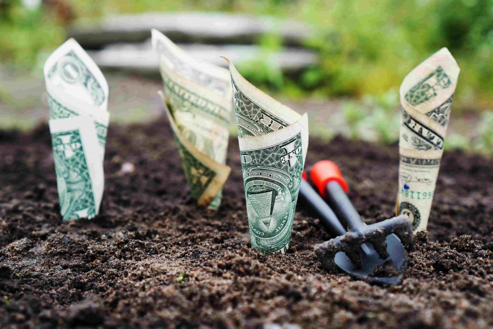 5 Consejos para Invertir en un Terreno