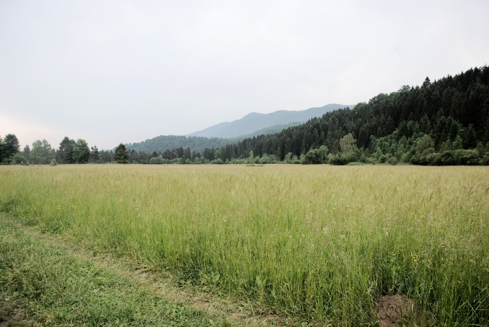 &iquest;Por qu&eacute; conviene invertir en terrenos en Tapalpa?